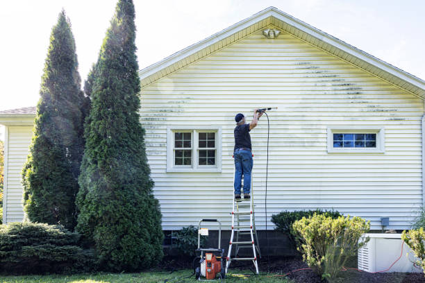 Best Sidewalk and Walkway Cleaning  in Homer City, PA